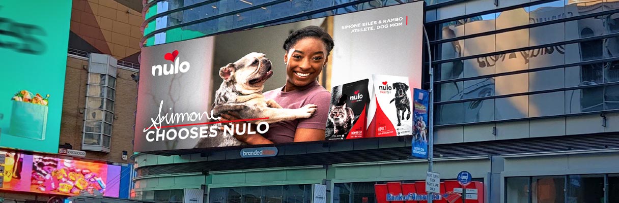 Nulo Case Study