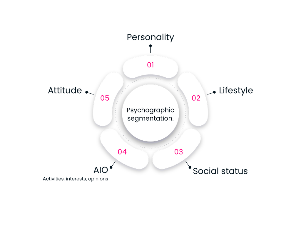 Infographic detailing lifestyle, interest, and value segments.